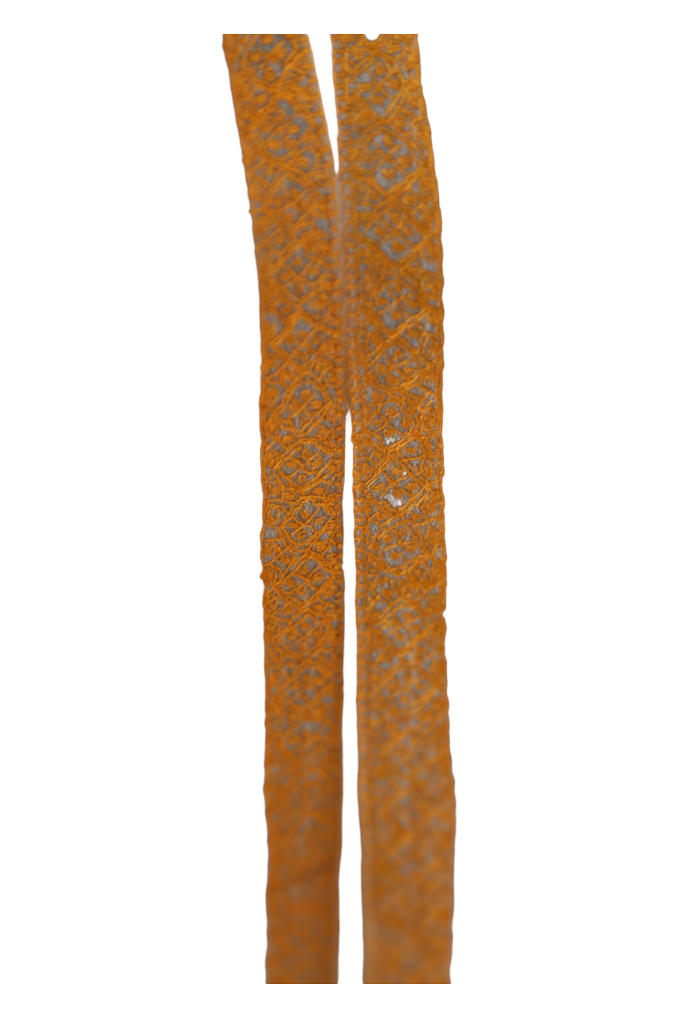 Natural Pashmina Shawl with Border Embroidery - Orange