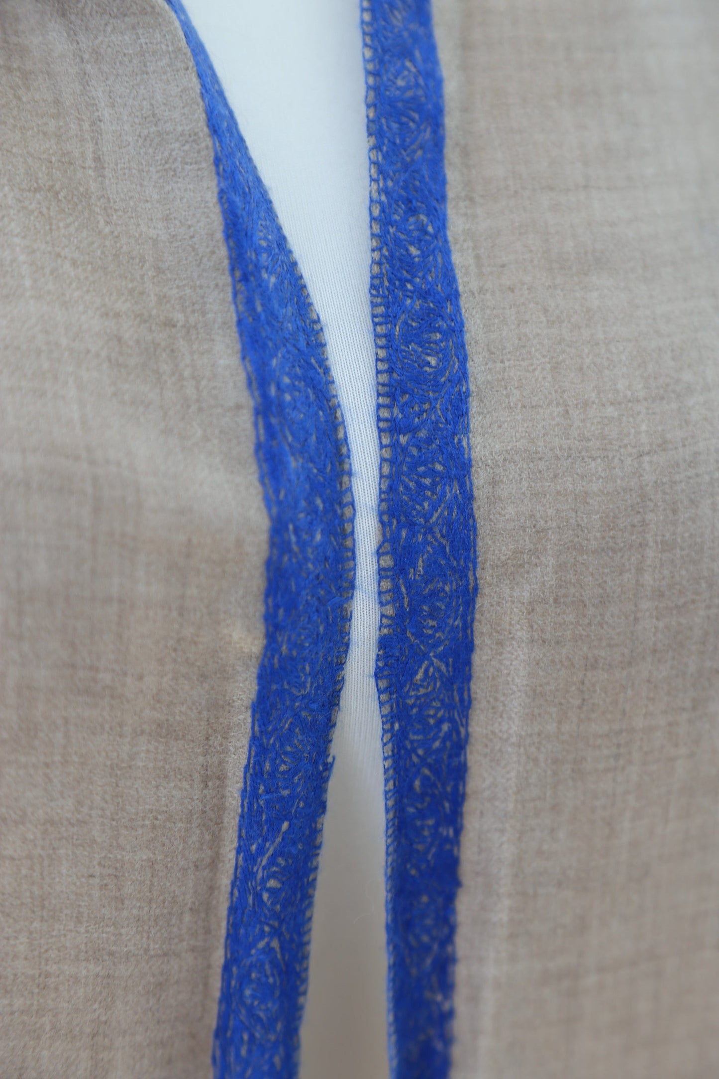Natural Pashmina Shawls with Border Embroidery - Blue