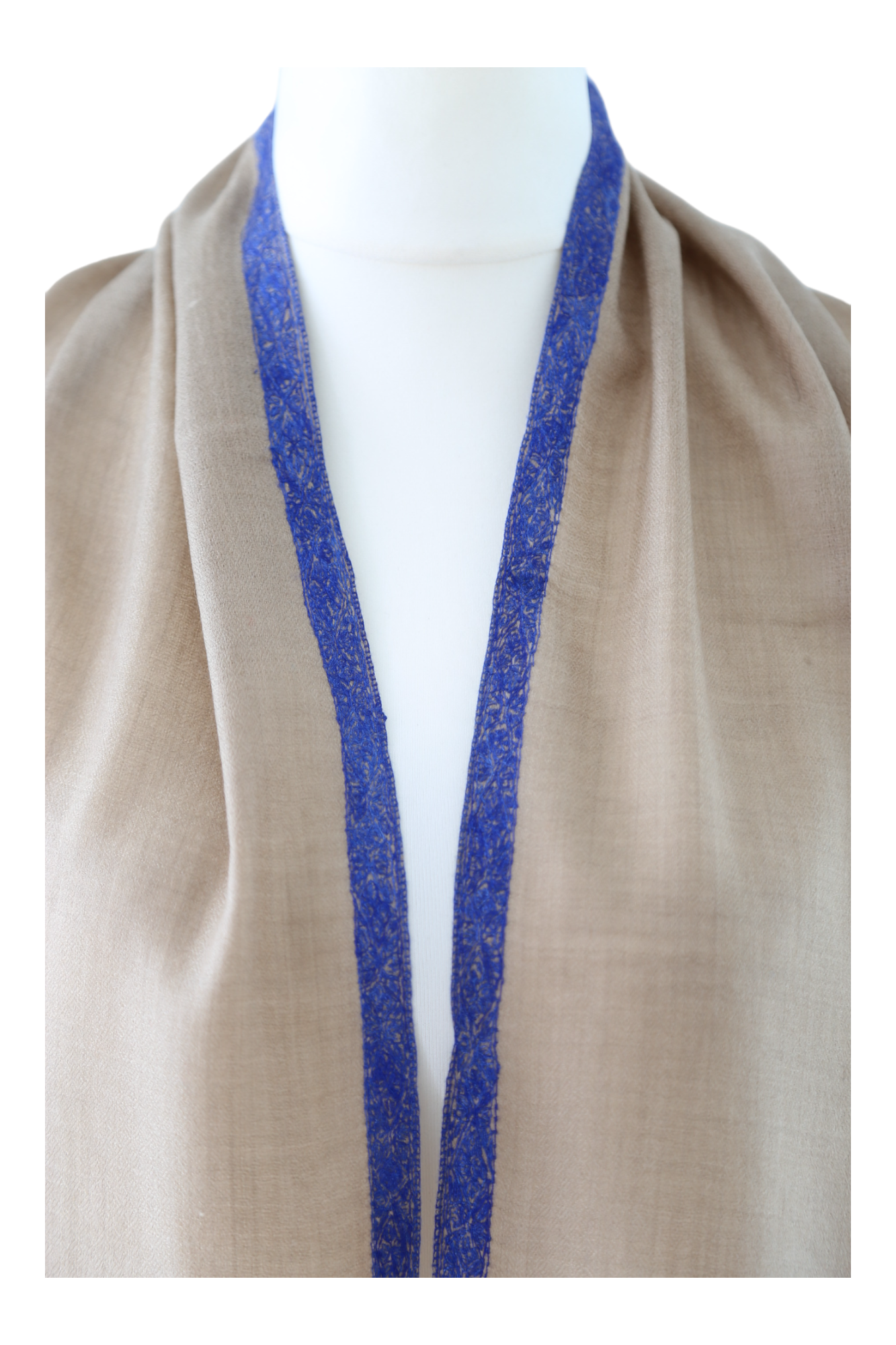 Natural Pashmina Shawl with Border Embroidery - Blue