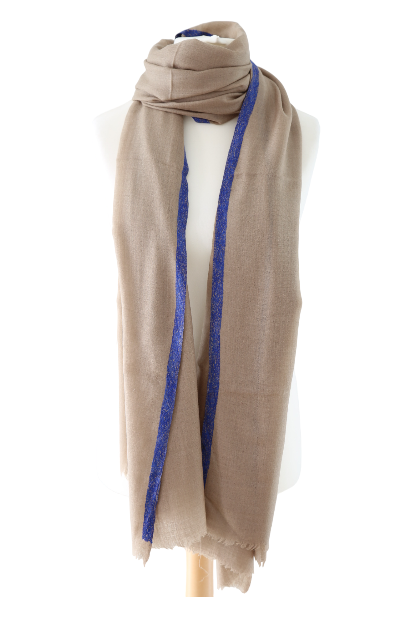 Natural Pashmina Shawl with Border Embroidery - Blue