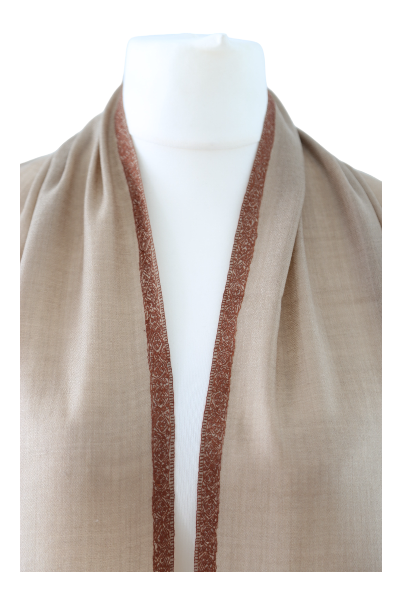 Natural Pashmina Shawl with Border Embroidery - Brown