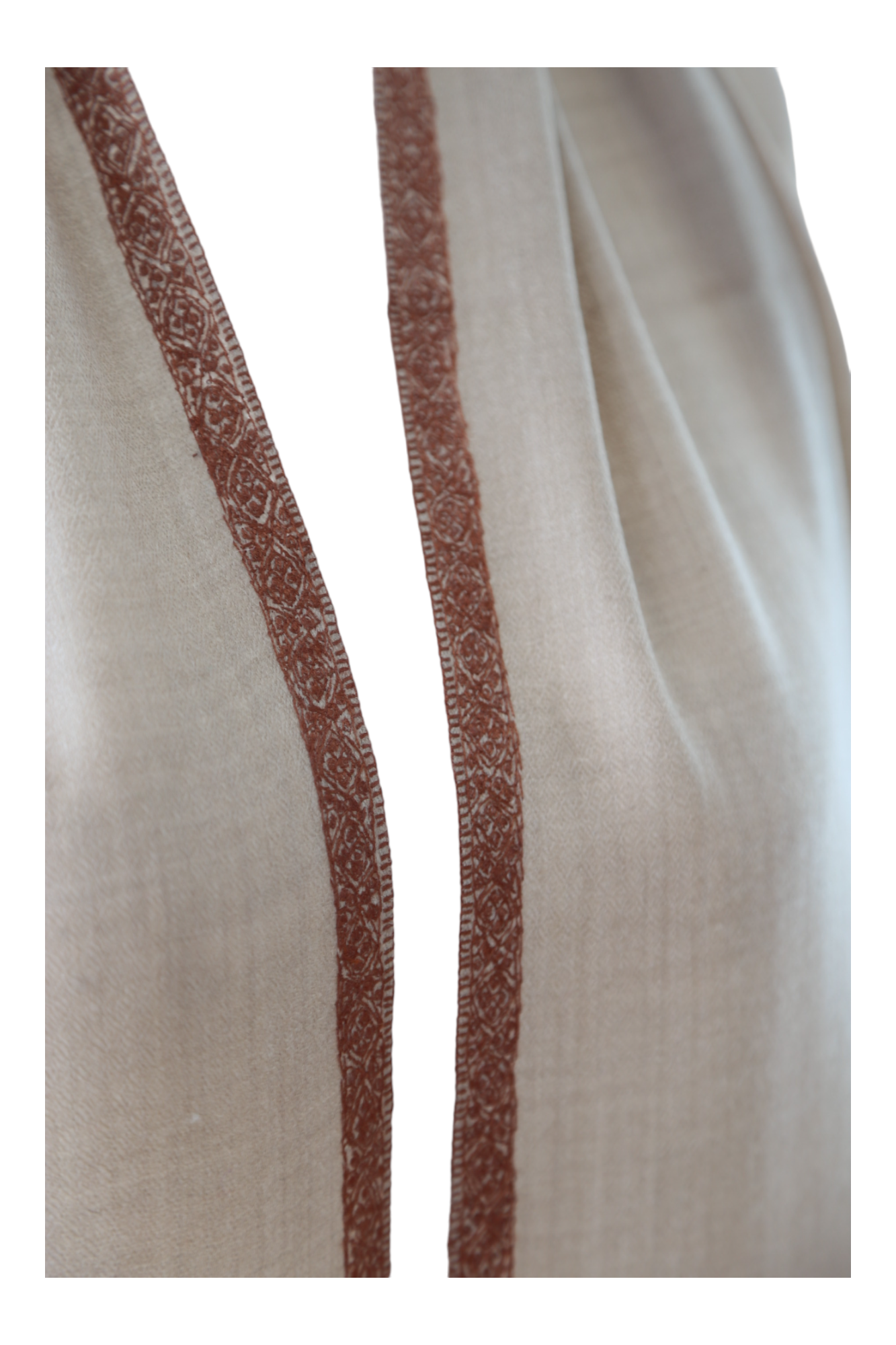 Natural Pashmina Shawl with Border Embroidery - Brown