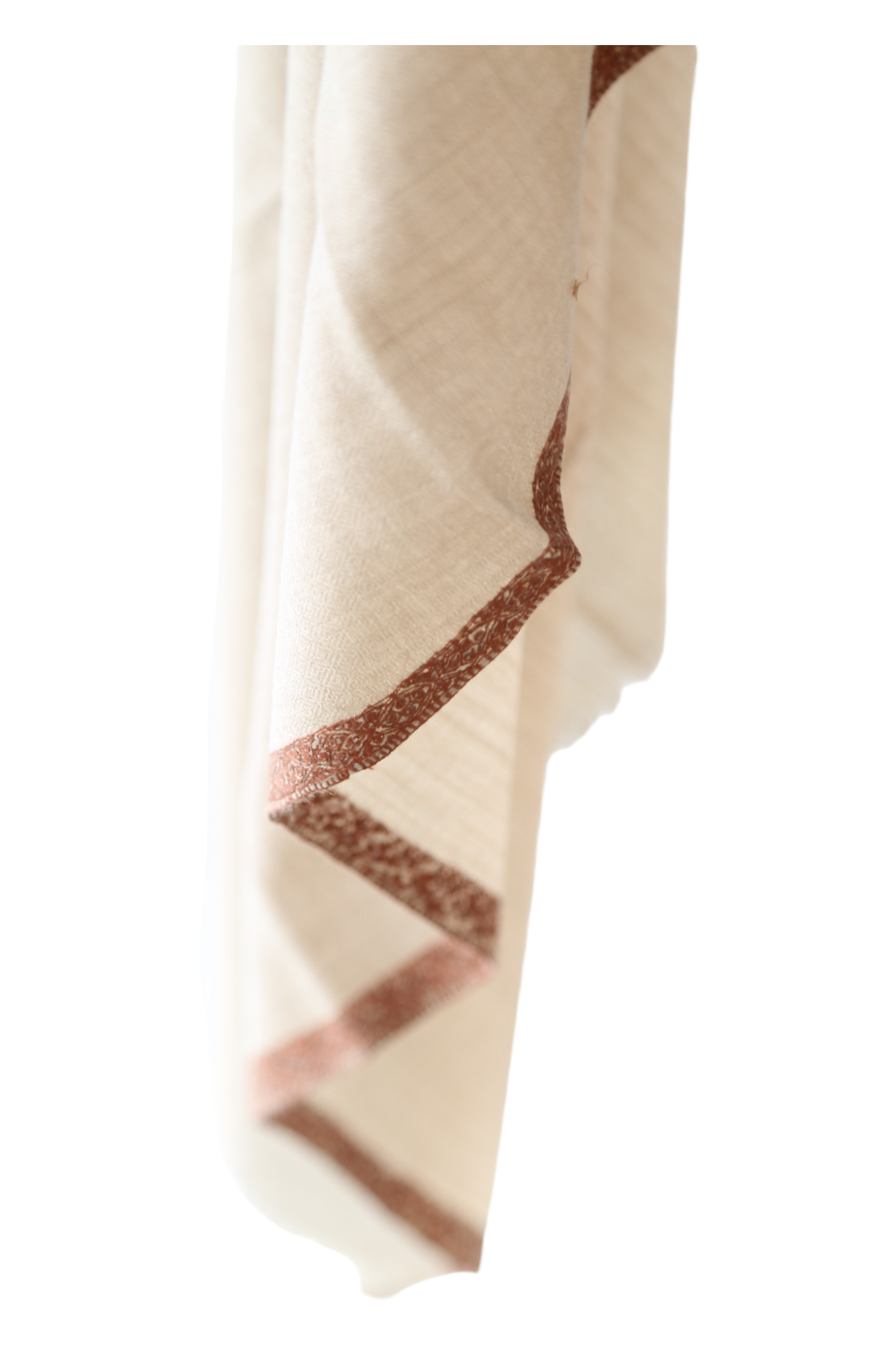 Natural Pashmina Shawl with Border Embroidery - Brown