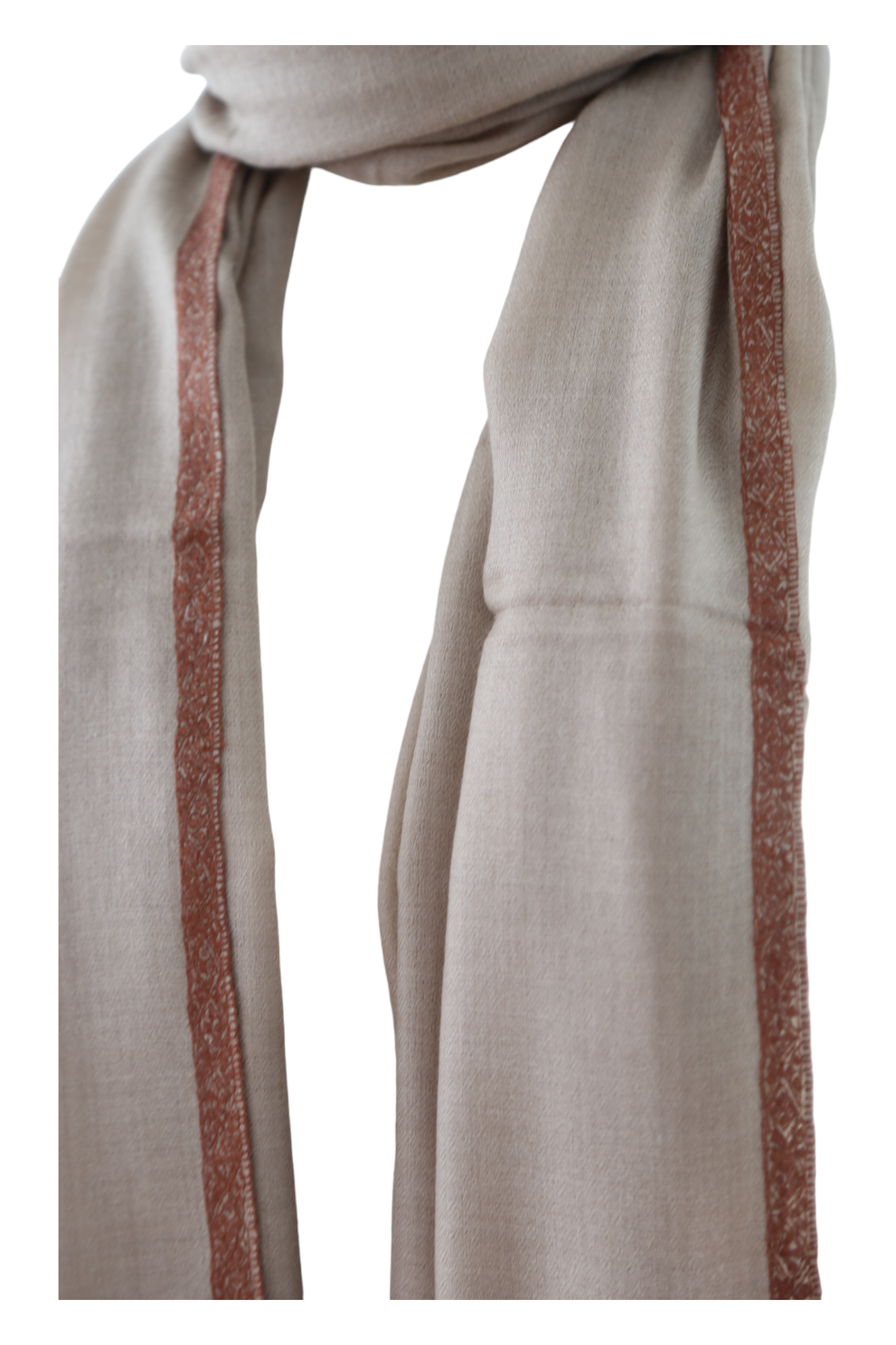 Natural Pashmina Shawl with Border Embroidery - Brown